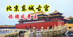帅哥美女日逼视频中国北京-东城古宫旅游风景区